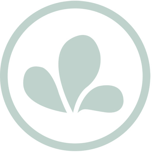 Liebe Wellness - Moonee Ponds pilates and yoga studio in Moonee Ponds, VIC